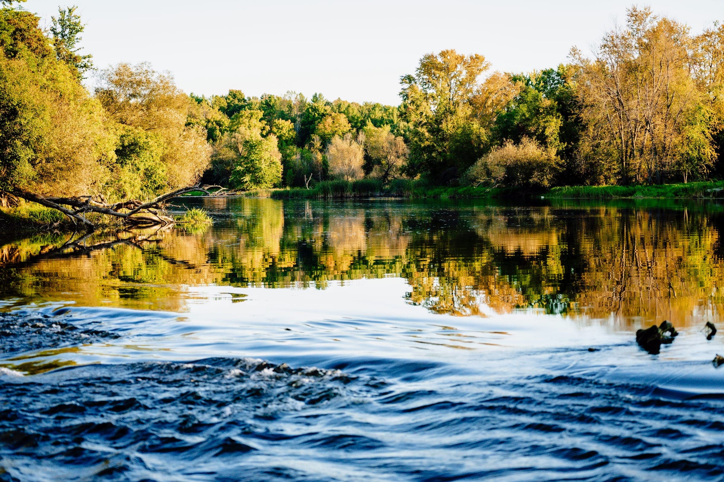 River reflection at dusk